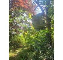 Grundstück zu verkaufen in Trippstadt 130.000,00 € 667 m²