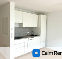 Wohnung zum Mieten in Nürnberg 550,00 € 26 m²