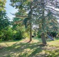 Haus zum Kaufen in Harzgerode 125.000,00 € 240 m²