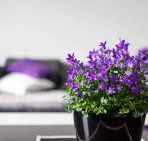 Wohnung zum Mieten in Bernau 680,00 € 51 m²