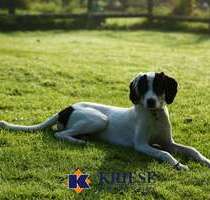 Grundstück zu verkaufen in Germering 639.000,00 € 356.5 m²