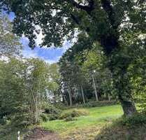 Grundstück zu verkaufen in Eckernförde 228.000,00 € 1001 m²