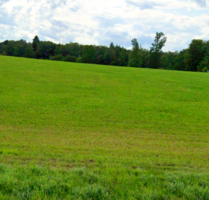 Grundstück in Machtlfing 89.900,00 € 30894 m²