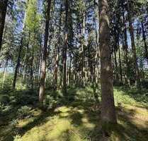 Grundstück in Ergoldsbach-Langenhettenbach 158.400,00 € 31680 m²