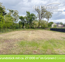 Grundstück zu verkaufen in Glienick 229.000,00 € 26834 m²