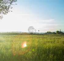 Grundstück zu verkaufen in Hanau Mittelbuchen 2.400.000,00 € 1850 m² - Hanau / Mittelbuchen