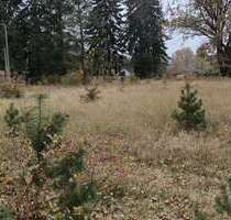 Grundstück zu verkaufen in Heidesee OT Wolzig 215.000,00 € 1583 m²