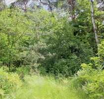 Grundstück zu verkaufen in Heidesee OT Bindow 300.000,00 € 1033 m²