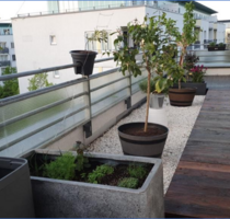 Wohnung zum Kaufen in Schönefeld 298.000,00 € 55 m²