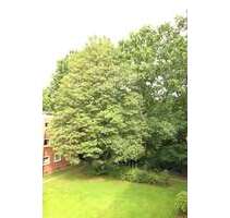 Wohnung zum Kaufen in Hamburg-Nord - Hamburg Langenhorn 222.000,00 € 45 m²