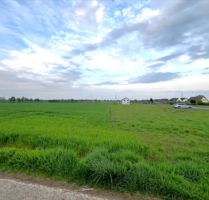 Grundstück zu verkaufen in Vettweiß 170.000,00 € 650 m²