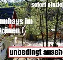 Haus zum Kaufen in Lennestadt 499.000,00 € 153 m²