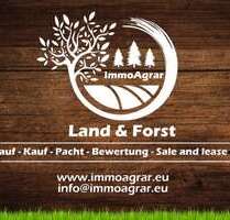 Grundstück in Aletshausen 49.900,00 € 31826 m²