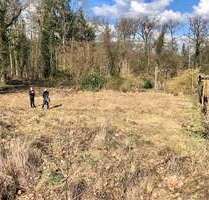 Haus zum Kaufen in Bergen 325.250,00 € 142 m²