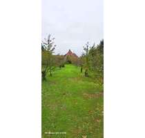 Haus zum Kaufen in Buxtehude 485.000,00 € 150 m²