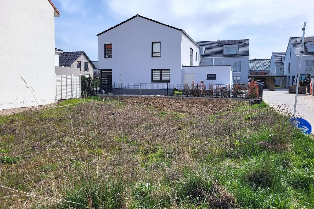 Grundstück zu verkaufen in Heddesheim 330.000,00 € 301 m²
