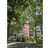 Wohnung zum Kaufen in Frankenthal 297.000,00 € 116 m²