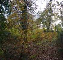 Grundstück zu verkaufen in Schönwalde-Glien 295.000,00 € 921 m²