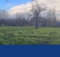 Grundstück zu verkaufen in Lutherstadt Eisleben 65.000,00 € 1730 m²