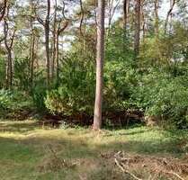 Grundstück zu verkaufen in Seevetal - Ramelsloh 798.000,00 € 3400 m²