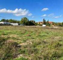 Grundstück zu verkaufen in Worms 296.000,00 € 800 m²