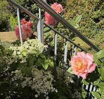 Wohnung zum Mieten in Hofheim am Taunus 1.380,00 € 76 m²