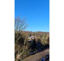 Wohnung zum Mieten in Bad Eilsen 450,00 € 60 m²