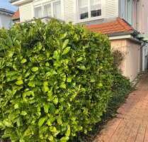 Wohnung zum Mieten in Wiesbaden 1.250,00 € 50 m²