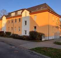 Wohnung zum Mieten in Pasewalk 370,00 € 59.06 m²