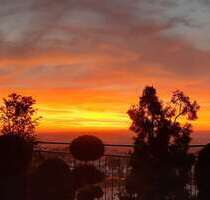 Wohnung zum Kaufen in Weingarten 1.150.000,00 € 193.48 m²