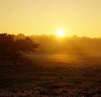 Wohnung zum Kaufen in Radeberg 350.350,00 € 91 m²