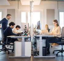 Büro in Berlin 480,00 € 55 m² - 480,00 EUR Kaltmiete, ca.  55,00 m² in Berlin (PLZ: 12489)