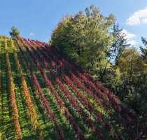 Grundstück in Waldkirch Buchholz 7.950,00 € 812 m² - Waldkirch / Buchholz