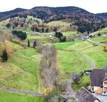 Haus zum Kaufen in Todtnau 295.000,00 € 185 m²