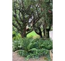 Haus zum Kaufen in Heilbronn 985.000,00 € 328 m²