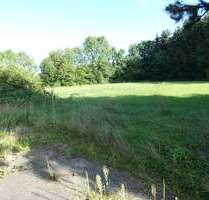 Grundstück in Ebersbach 439.000,00 € 9036 m²