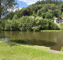 Grundstück zu verkaufen in Schönau (Pfalz) 215.000,00 € 3090 m²