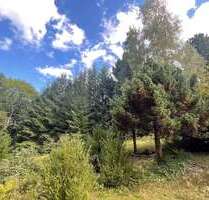 Grundstück zu verkaufen in Zschopau 25.000,00 € 2560 m²