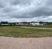 Grundstück zu verkaufen in Hillesheim 142.120,00 € 374 m²