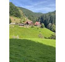 Haus zum Kaufen in Oberwolfach Walke 870.000,00 € 200 m²
