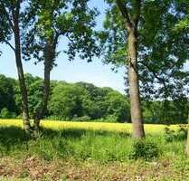 Grundstück zu verkaufen in Ballenstedt 18.000,00 € 2470 m²