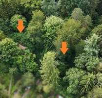 Grundstück zu verkaufen in Pirmasens 19.000,00 € 2450 m²