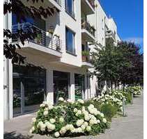 Büro in Berlin 1.300,00 € 55 m²