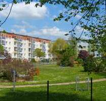 Wohnung zum Mieten in Döbeln 350,00 € 59 m²