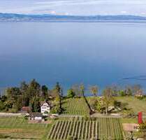 Wohnung zum Kaufen in Kressbronn am Bodensee 403.000,00 € 54 m²