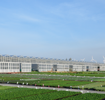 Grundstück in Bedburg 1.250.000,00 € 59334 m²
