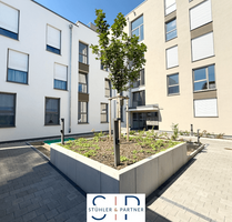 Wohnung zum Kaufen in Asperg 385.000,00 € 66 m²