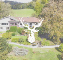 Haus zum Kaufen in Waldshut-Tiengen 875.000,00 € 330 m²