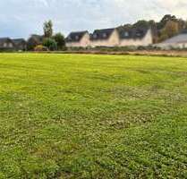 Grundstück in Windeck-Obernau 49.000,00 € 2282 m²