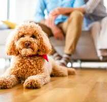 Wohnung zum Kaufen in Eltville am Rhein 475.900,00 € 62.06 m²